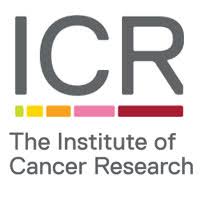 Institute Of Cancer Research 