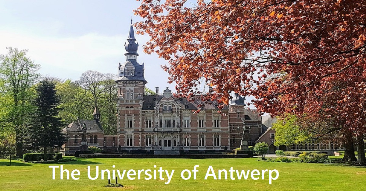 university of antwerp phd positions