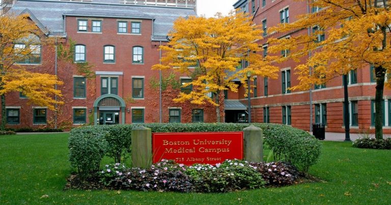 Boston University