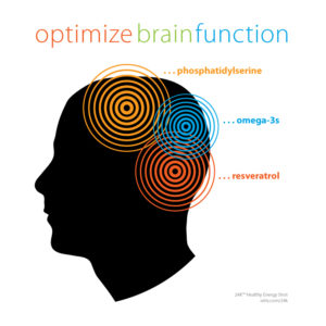 Secrets of the Brain Unlocked – How to Increase Brain Power – Scholar Idea