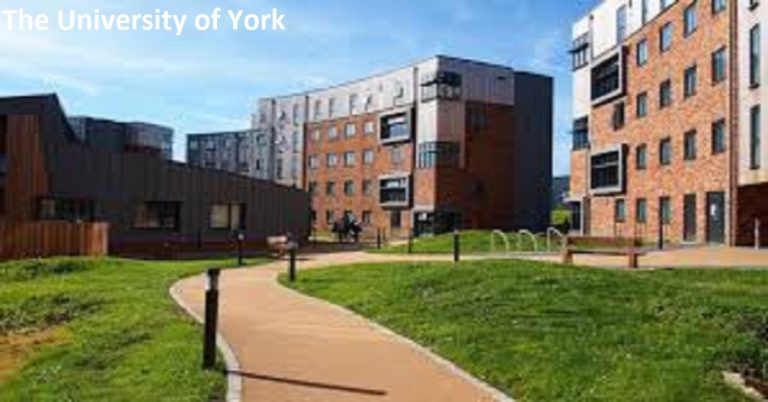 York university