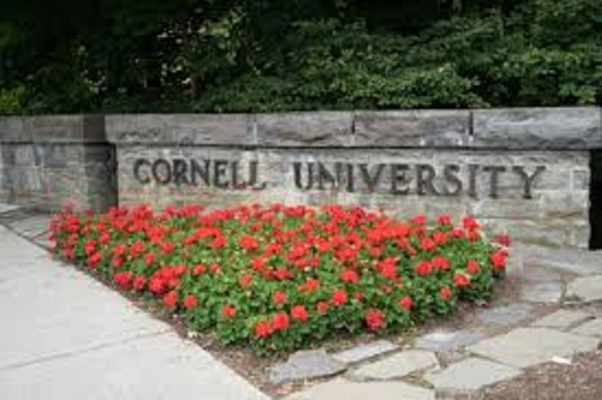 cornell university phd economics