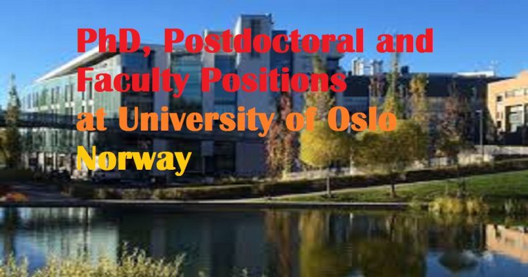 oslo university phd positions