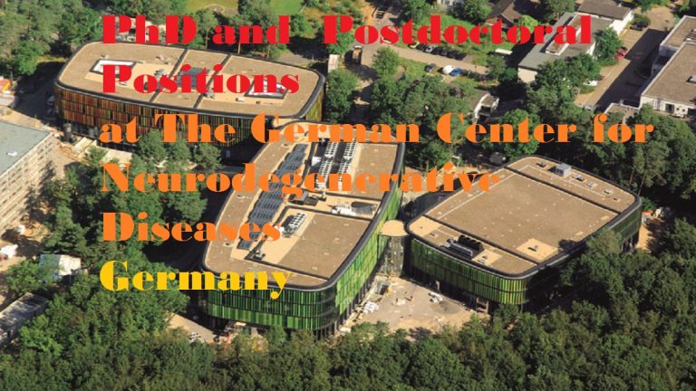 The German Center