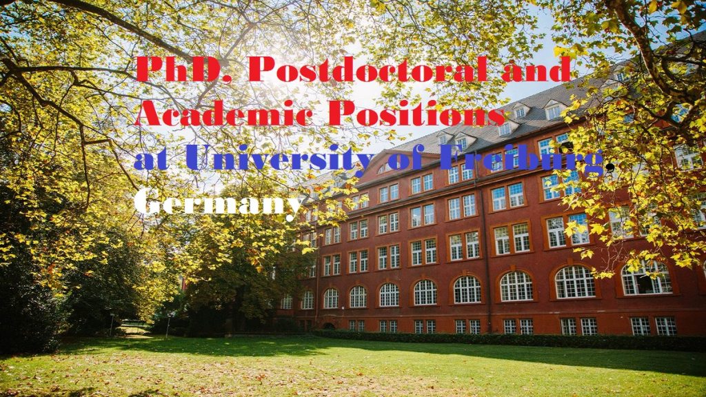 university of freiburg phd application