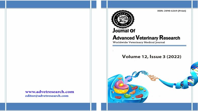 volume 12 issue 3