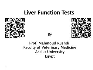 liver function tests