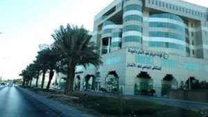 Riyadh Elm University
