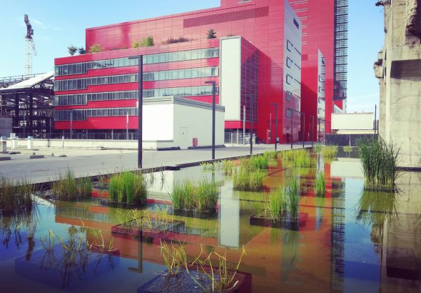 University of Luxembourg Postdoctoral Scholarships at Belval Campus