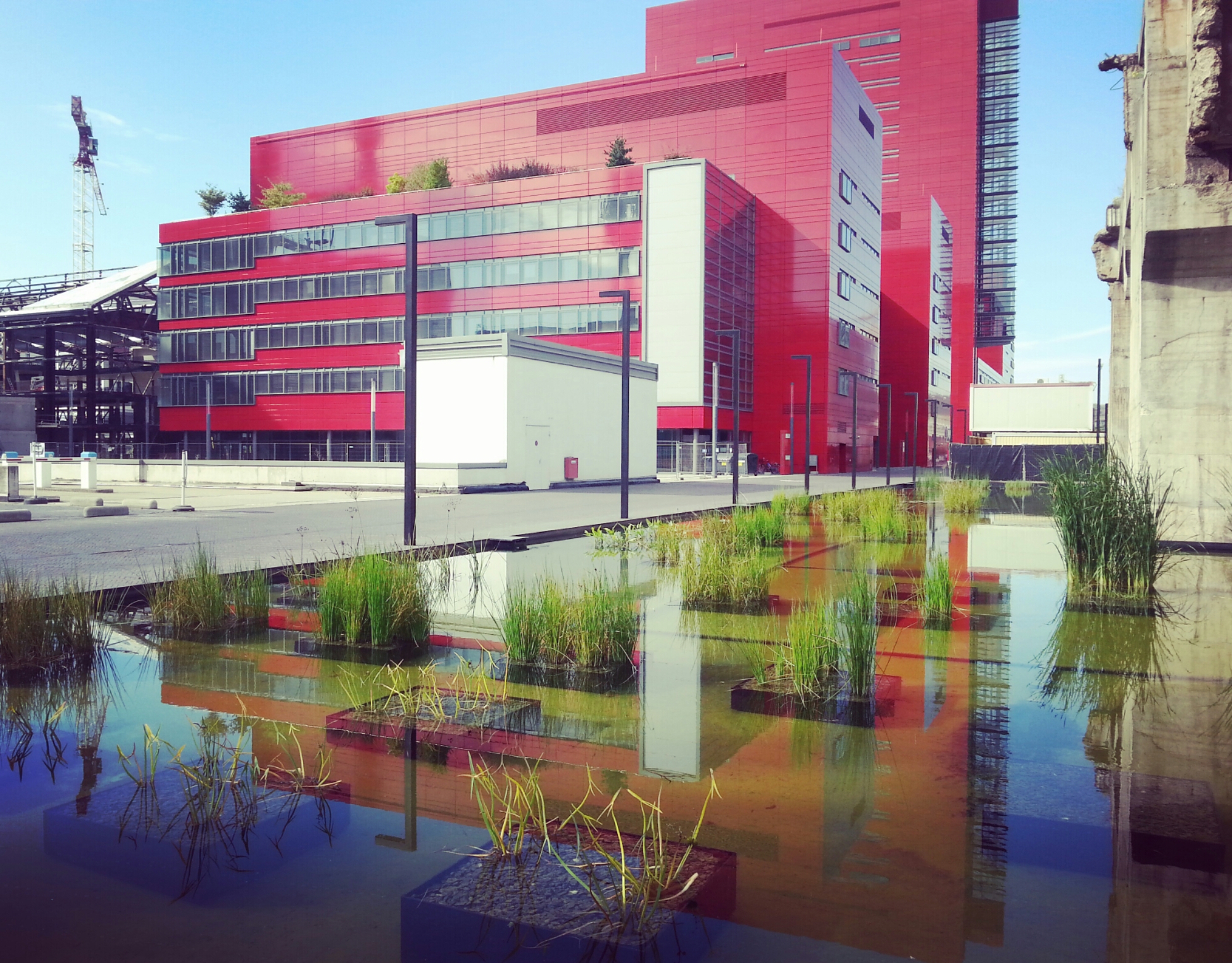 University of Luxembourg Postdoctoral Scholarships at Belval Campus