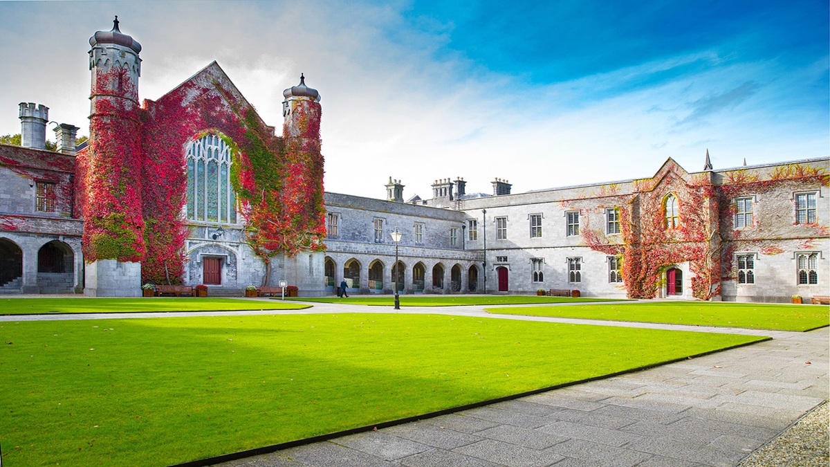 Postdoc and Faculty Jobs at University of Galway
